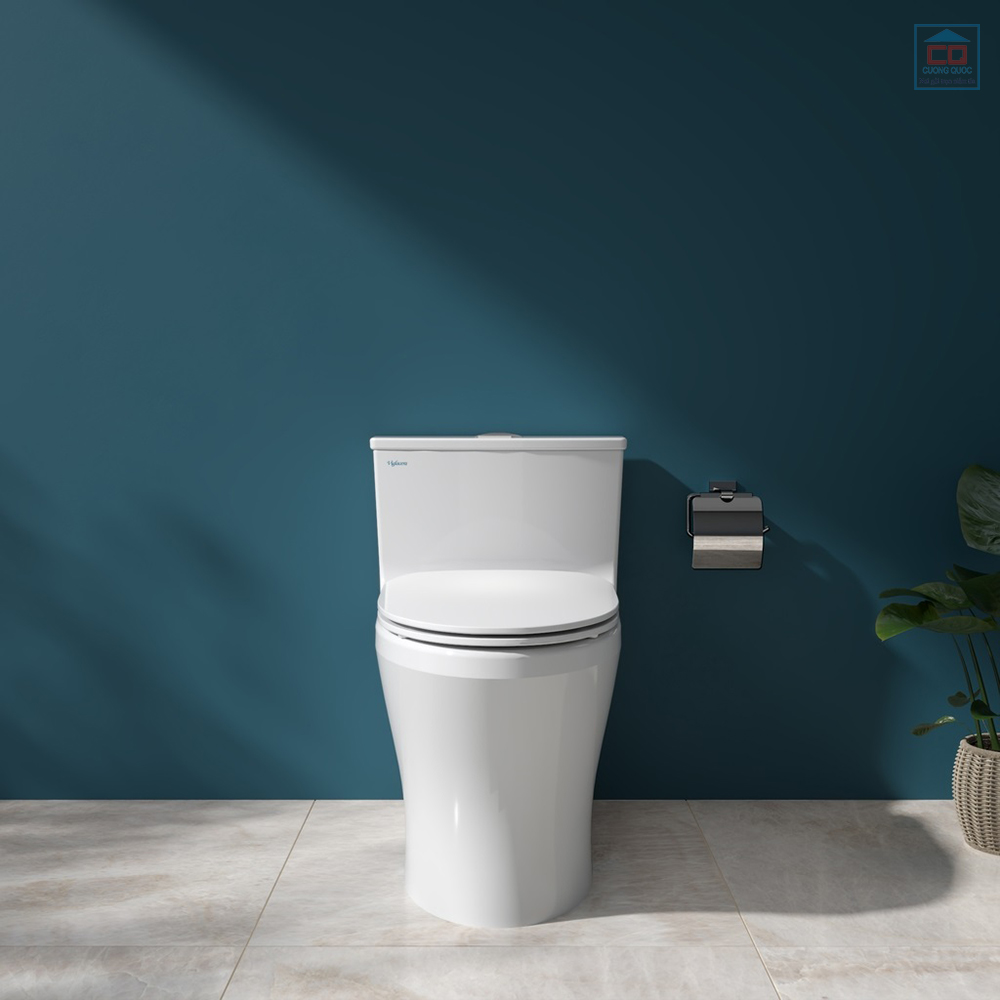 Bồn cầu Viglacera HL2