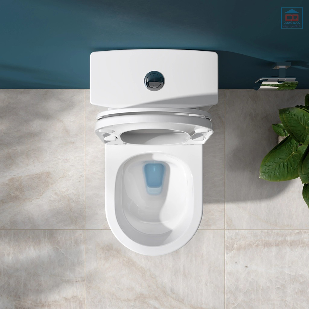 B&agrave;n cầu liền khối Viglacera V817