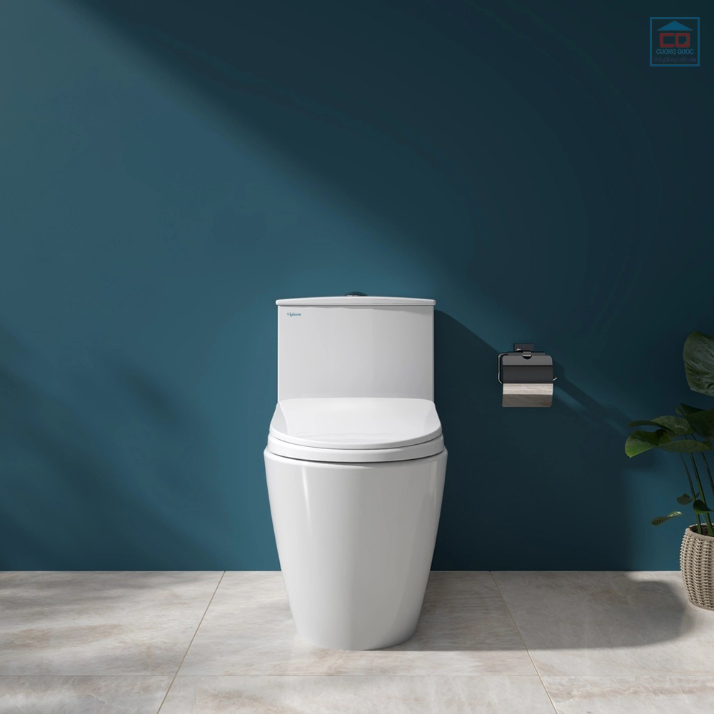 Bồn cầu Viglacera V817