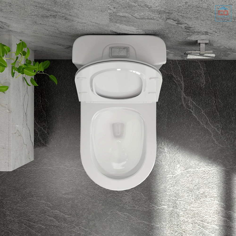 B&agrave;n cầu k&eacute;t liền Viglacera Sanfi S302