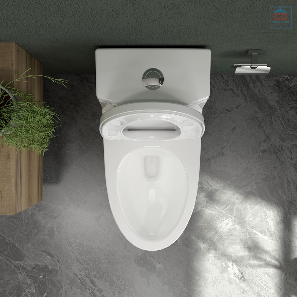 B&agrave;n cầu liền khối Viglacera V39M