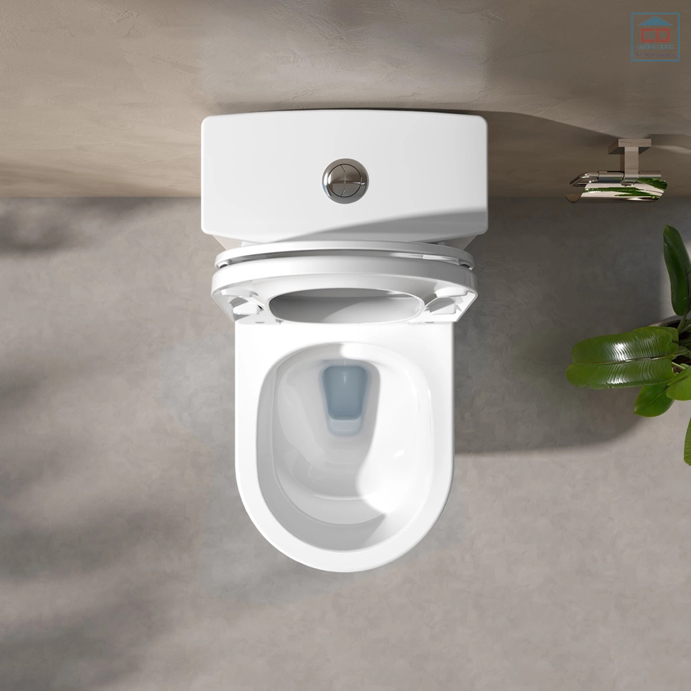 B&agrave;n cầu liền khối Viglacera V816