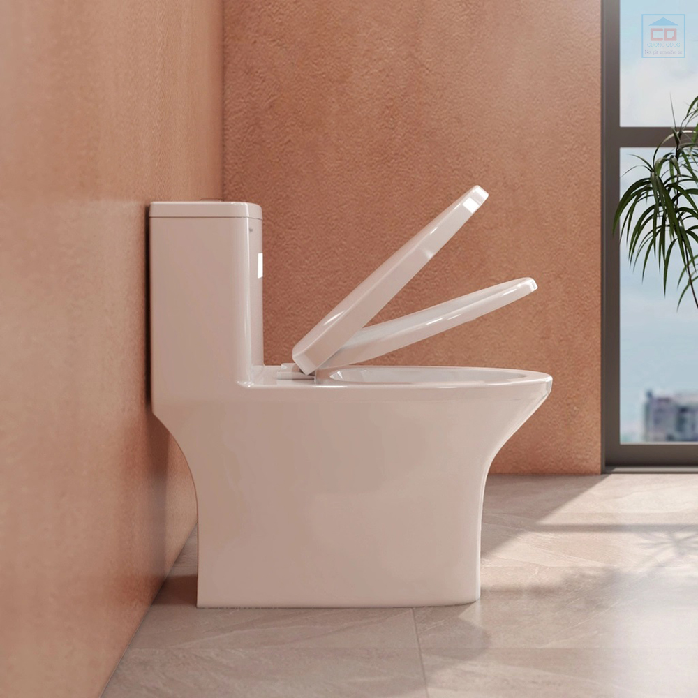 Bàn cầu liền khối Viglacera V72