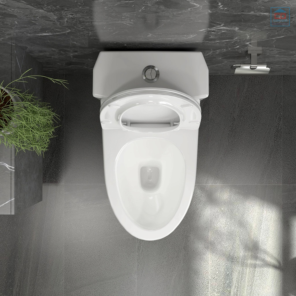 Bồn cầu 1 khối Viglacera V803