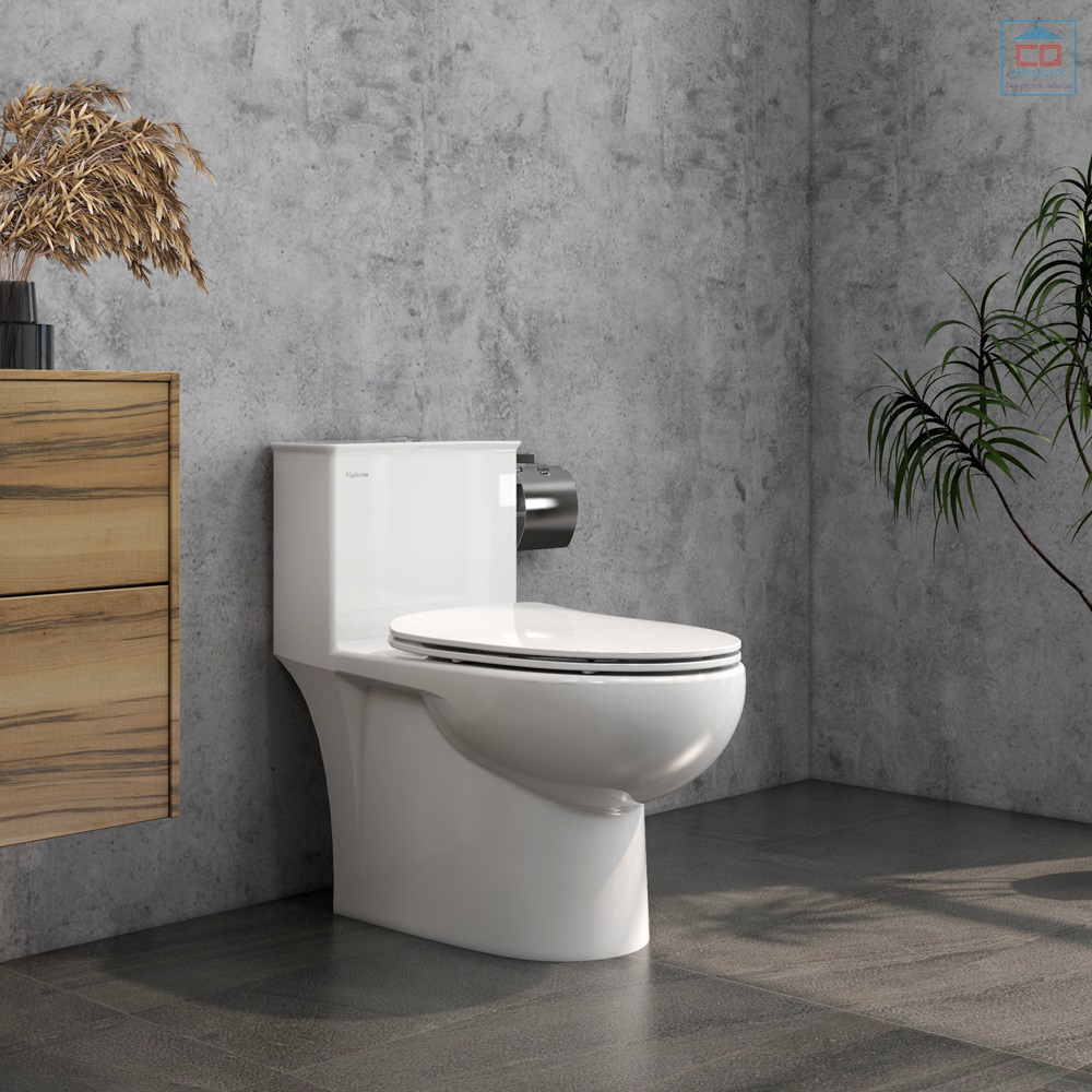 Bồn cầu Viglacera V819