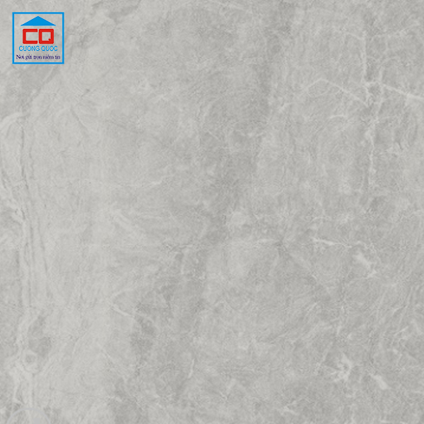 Gạch ốp lát nhập khẩu Niro Granite GSC02 60x60