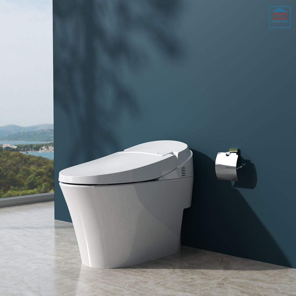 Bồn cầu Viglacera V91