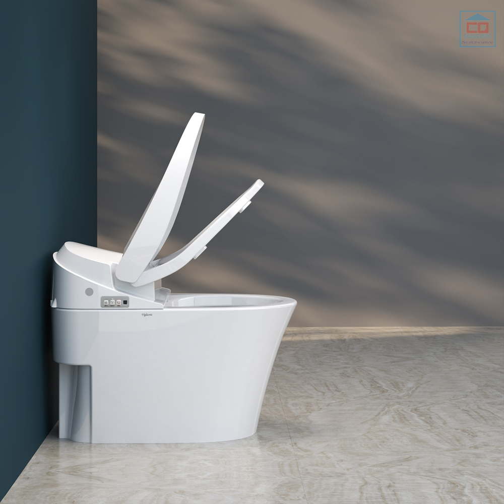 B&agrave;n cầu Viglacera V91