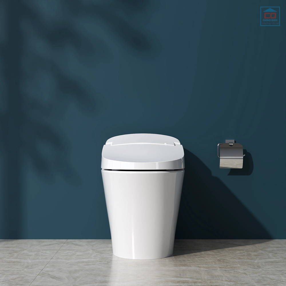 B&agrave;n cầu điện tử Viglacera V91