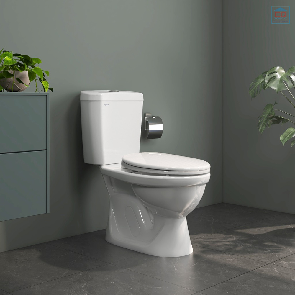 Bồn cầu 2 khối Viglacera VI88