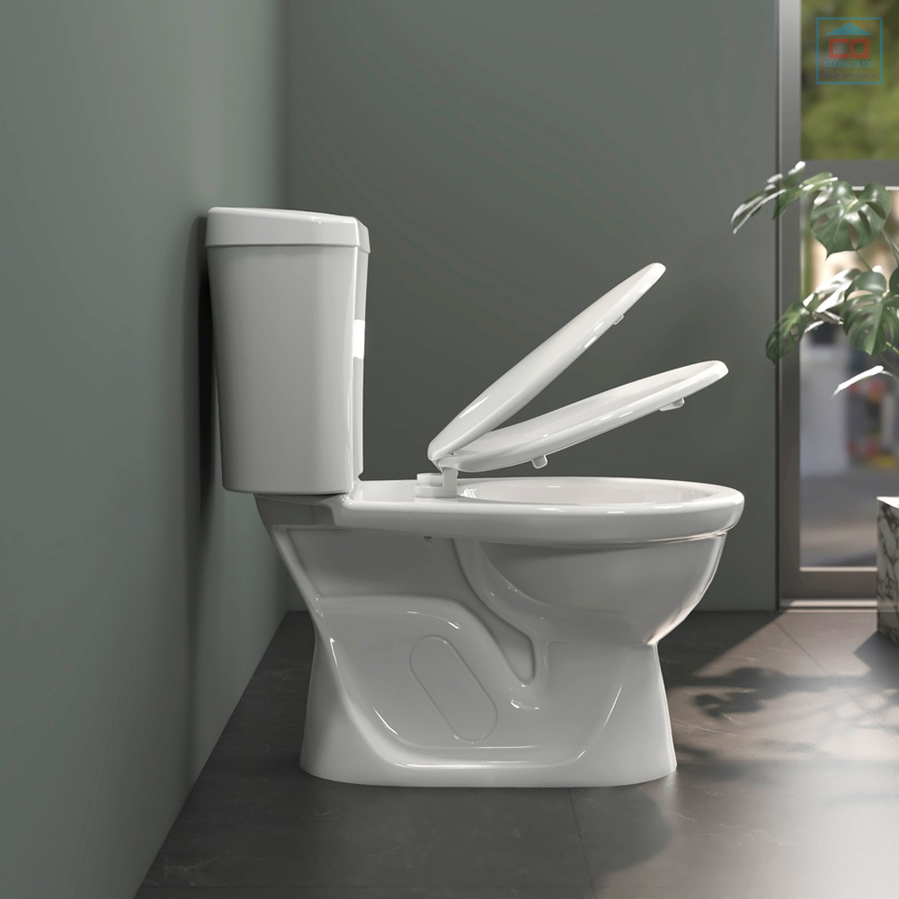 Bàn cầu Viglacera VI88