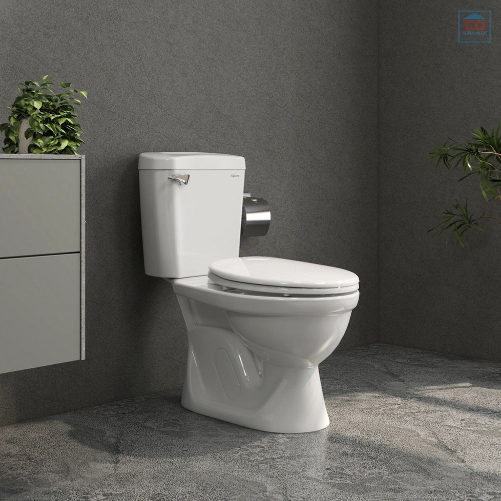 Bồn cầu Viglacera VI77