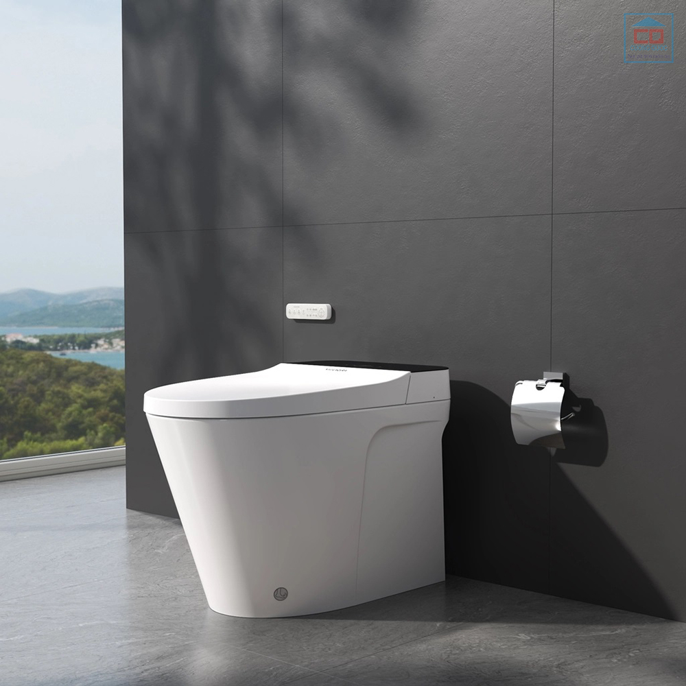 Bồn cầu Viglacera V882F