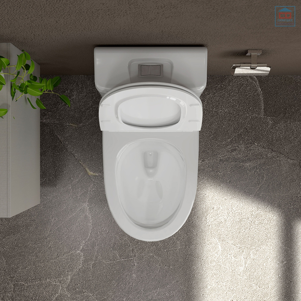 B&agrave;n cầu Viglacera Sanfi S301