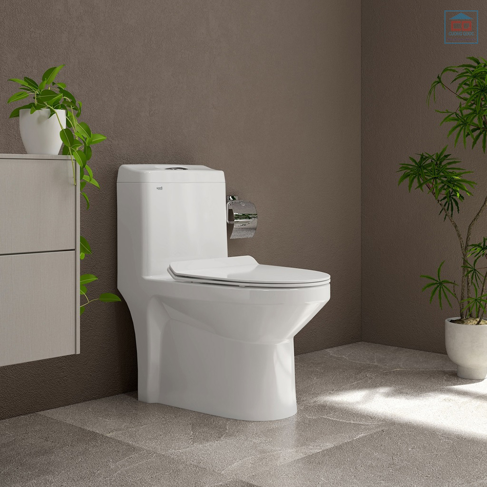 Bồn cầu 1 khối Viglacera Sanfi S301