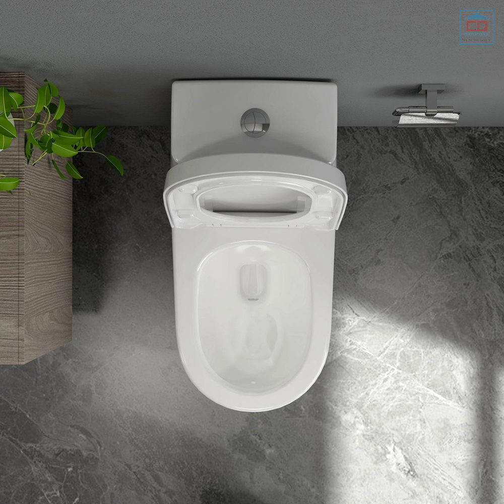 B&agrave;n cầu Viglacera Sanfi S308