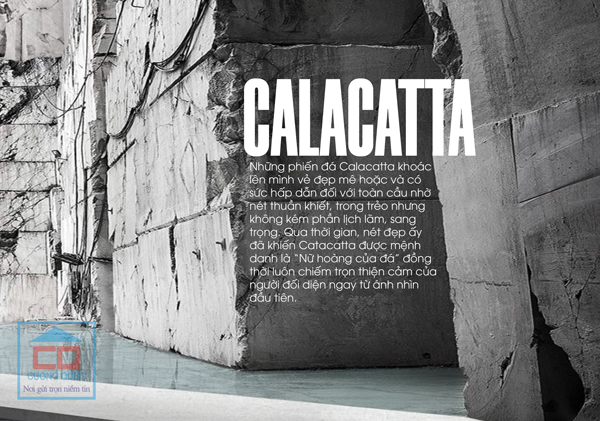 Gạch Calacatta Thạch Bàn