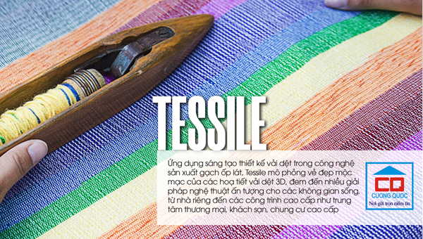 Gạch Thạch B&agrave;n Tessile