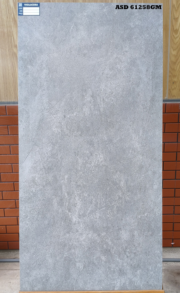 Gạch Viglacera 60x120 ASD 61258GM