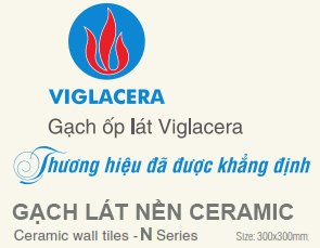 Gạch lát nền Ceramic Viglacera 300x300