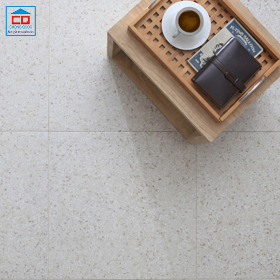 Phối cảnh gạch lát nền Vietceramics dPortico 60AGT602197R
