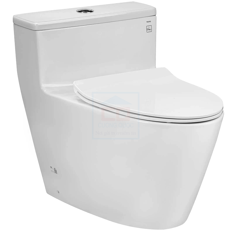Bồn cầu 1 khối TOTO MS625DT8#XW