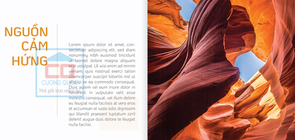 Gạch ốp lát Arizona Viglacera được lấy cảm hứng từ thiên nhiên của tiểu nam Arizona