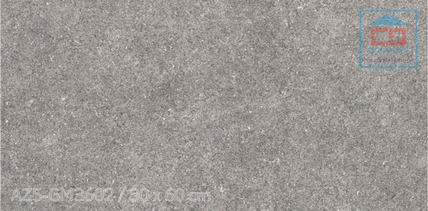 Gạch ốp lát granite 30x60cm Arizona AZ5-GM3602