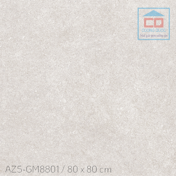 Gạch lát nền granite 80x80cm Arizona AZ5-GM8801