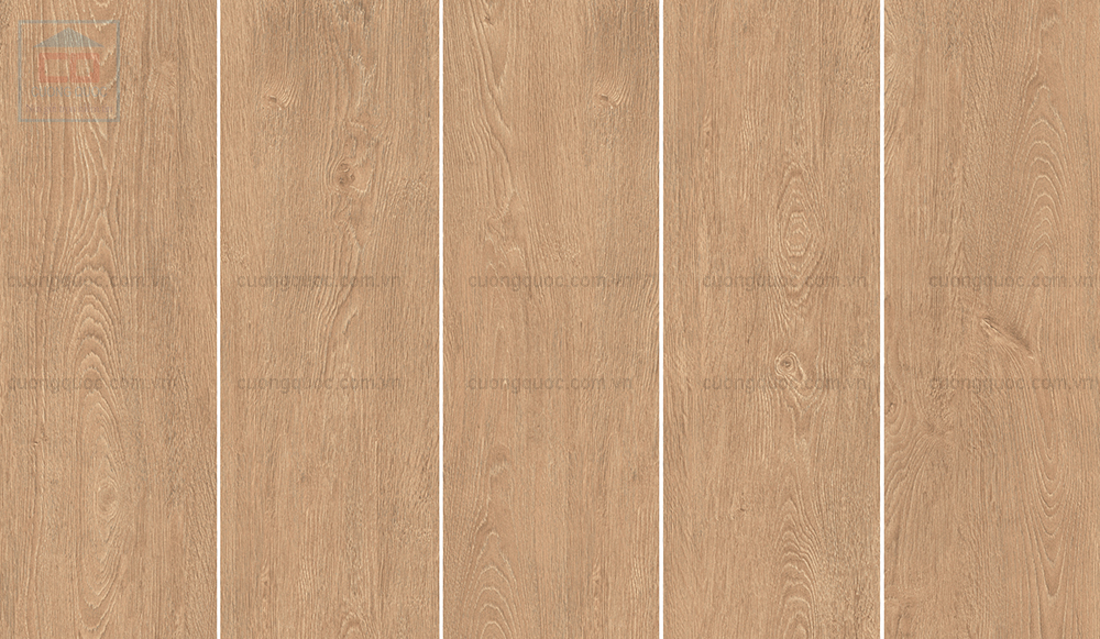 Gạch lát sàn vân gỗ Viglacera GQ15901