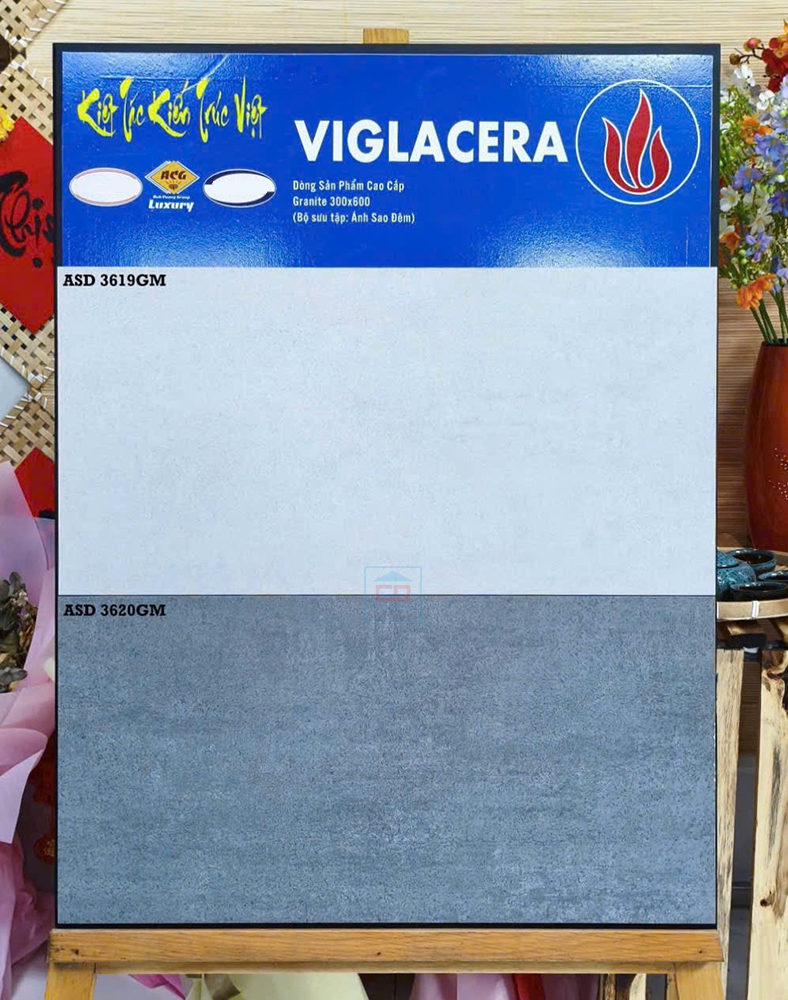 Gạch 30x60 Viglacera ASD 3620GM