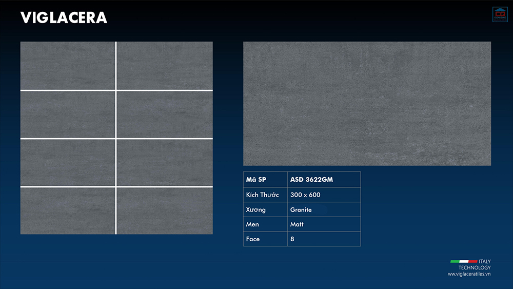 Viglacera ASD 3622GM