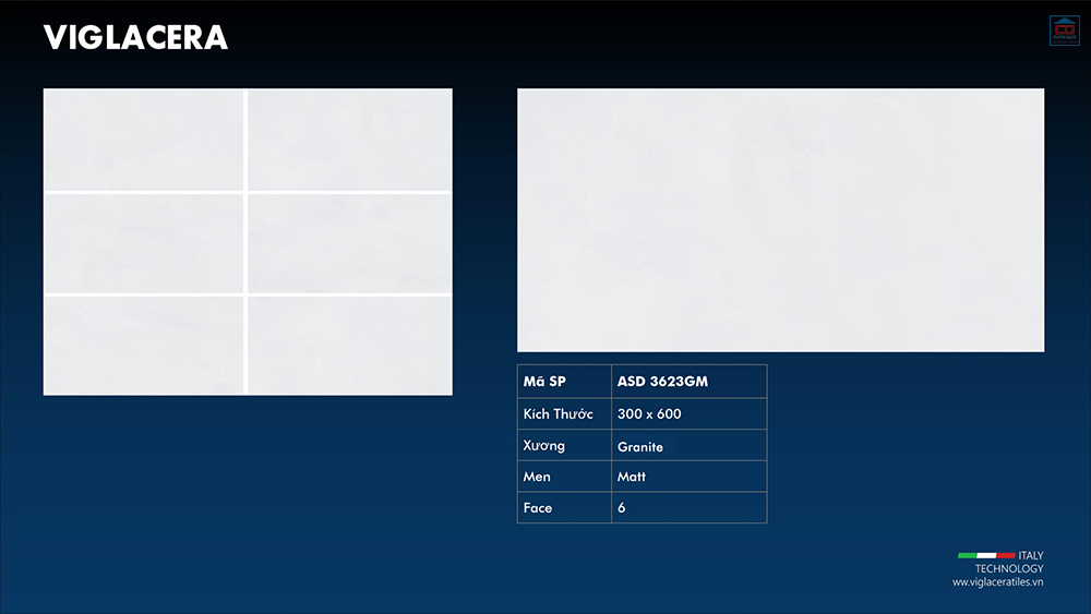 Viglacera ASD 3623GM
