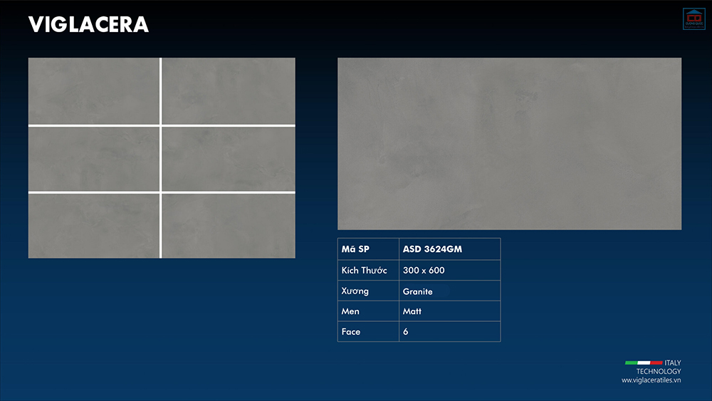 Viglacera ASD 3624GM