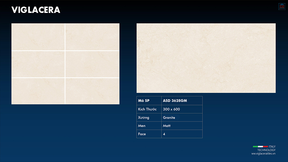 Viglacera ASD 3628GM