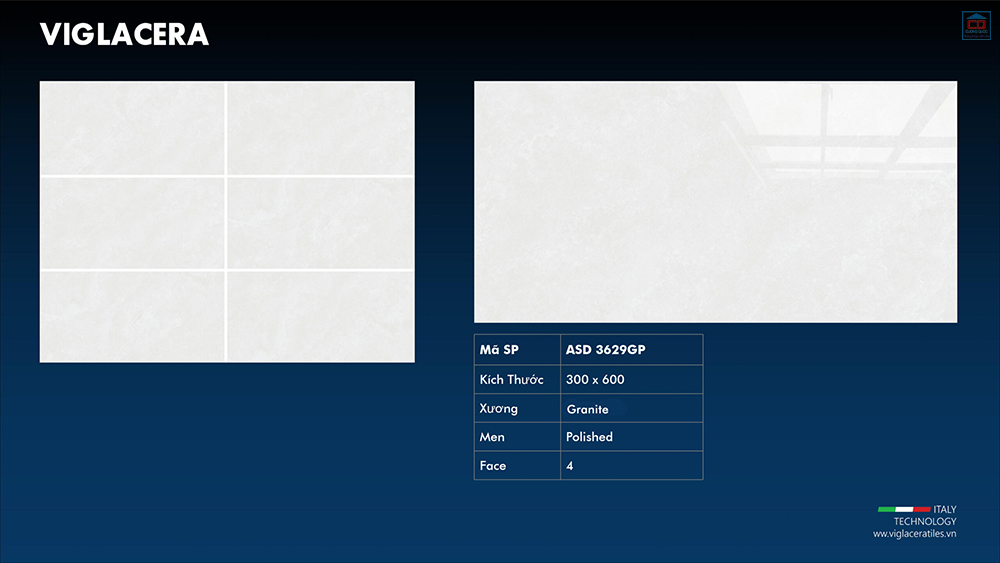 Viglacera ASD 3629GP