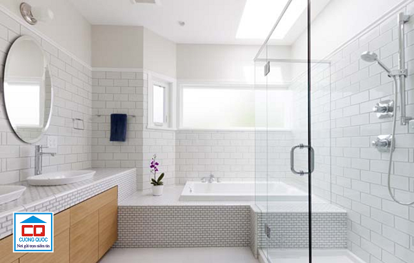 thiết bị vệ sinh viglacera-9