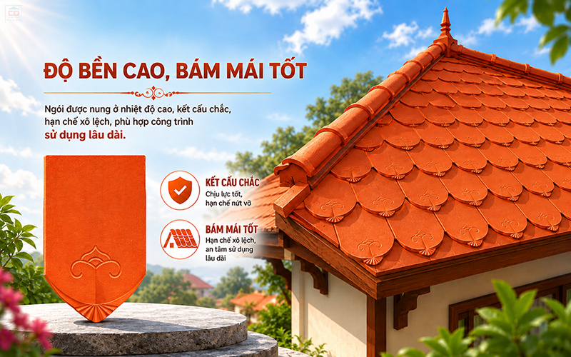 Ngói sò cổ Viglacera Hạ Long độ bền cao