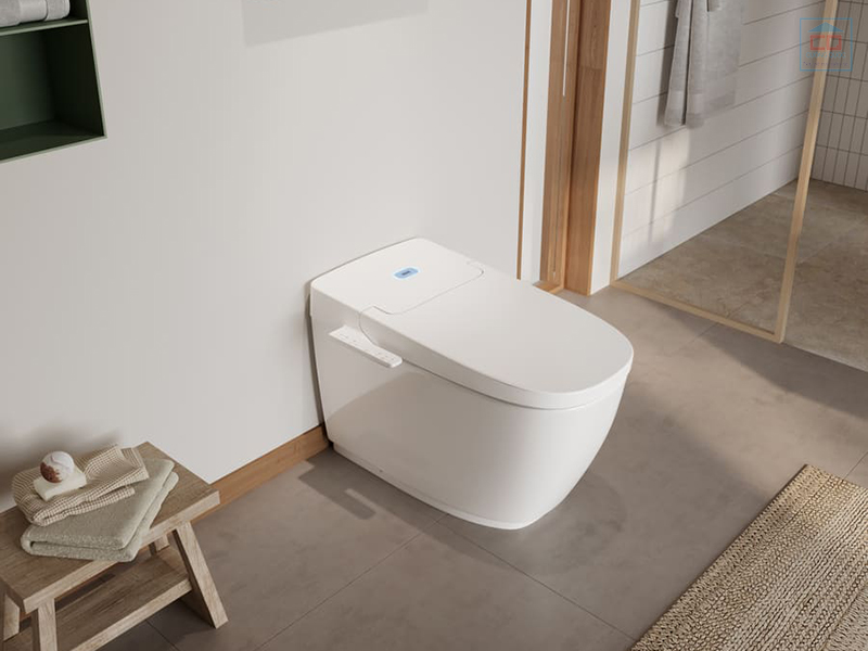 Bàn cầu cao cấp