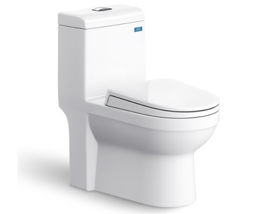 Bồn cầu Viglacera Sanfi S304