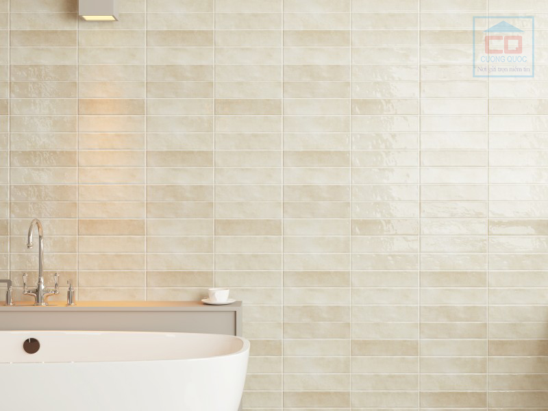 Phối cảnh gạch thẻ DS75301