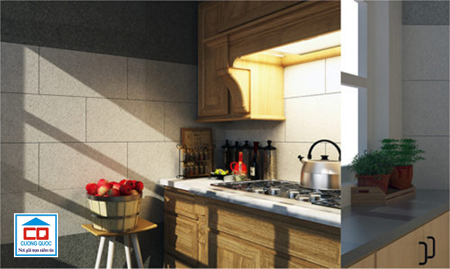 gạch ốp tường viglacera 30x60_7