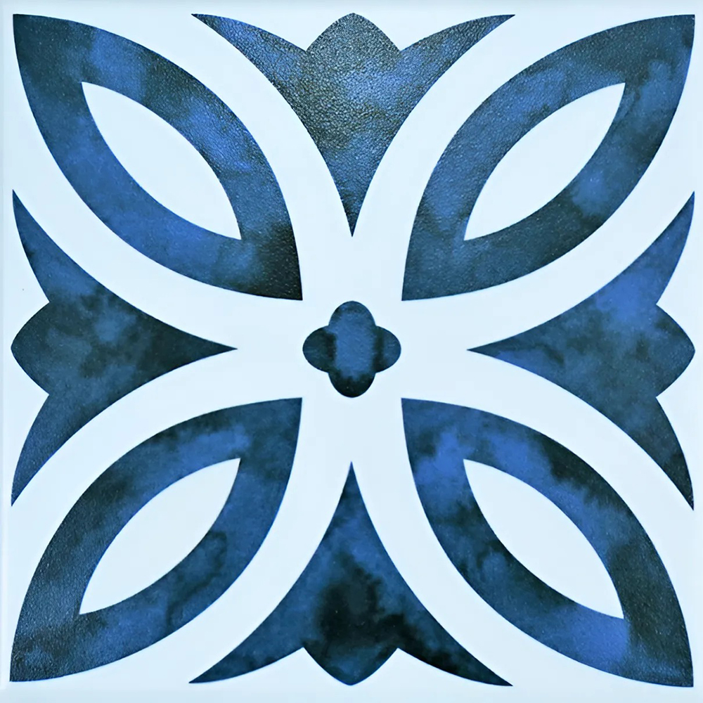 Gạch bông men DS2902