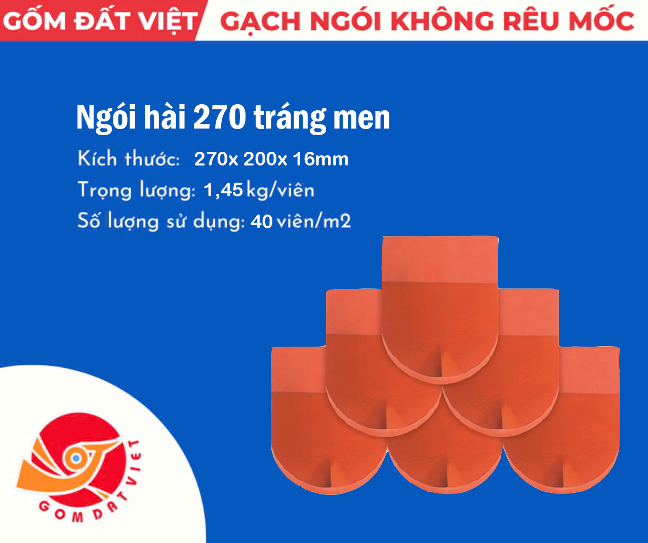 Ngói hài 270 tráng men