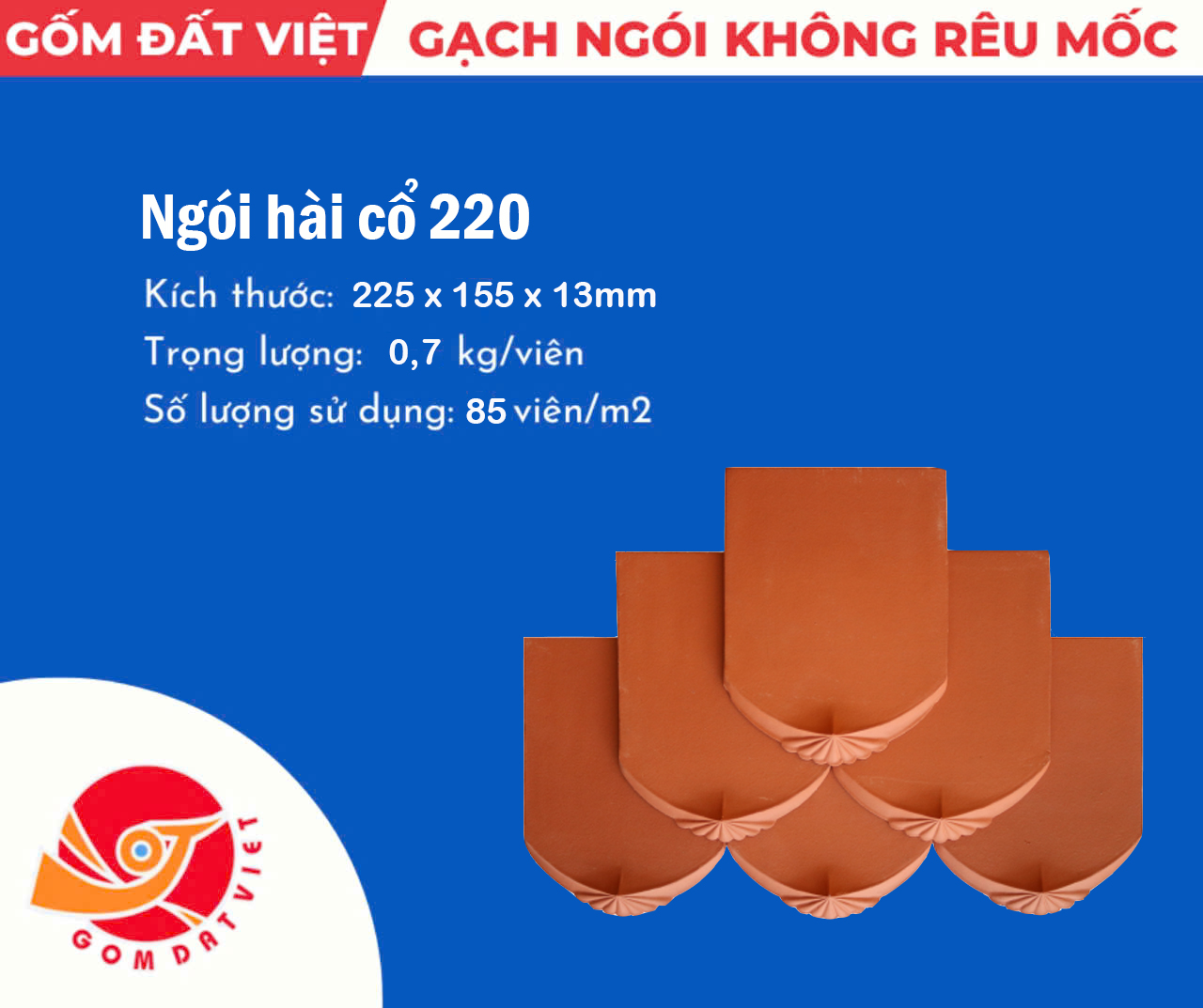 Ngói hài cổ 220