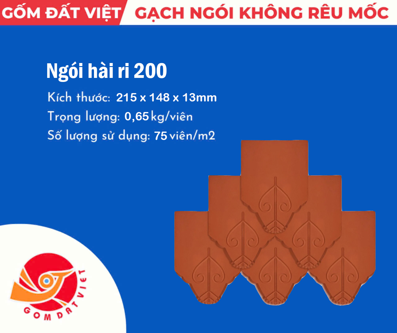 Ngói hài ri 200