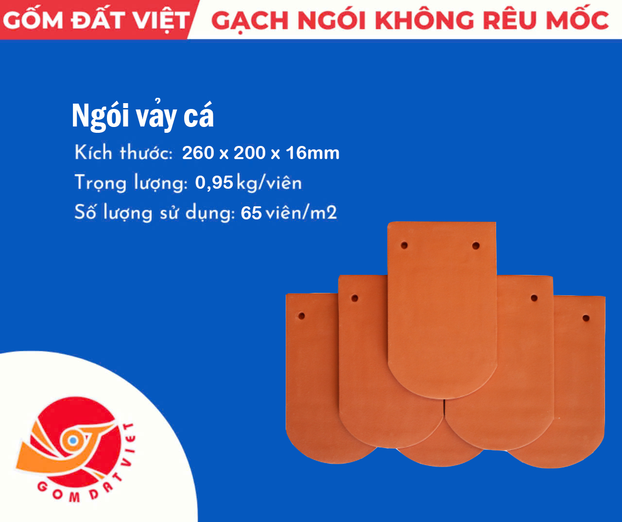 Ngói vảy cá