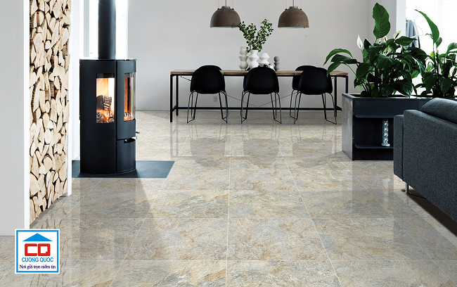 gạch lát nền Viglacera 60x60-5