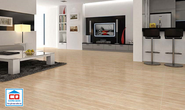 gạch lát nền Viglacera 60x60-8