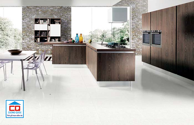 gạch lát nền Viglacera 60x60-1